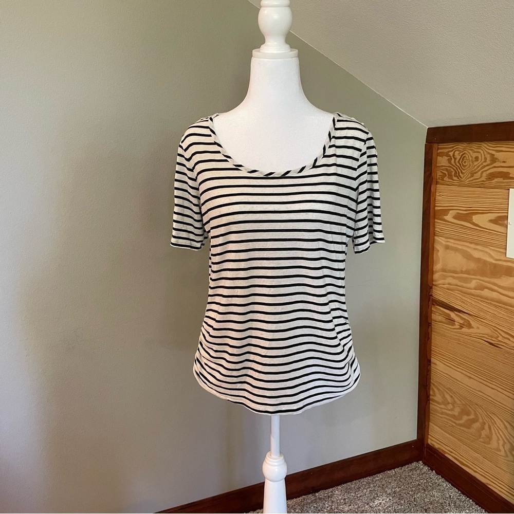 Charlotte Russe Striped Sheer Lace Crochet Back Top Blouse Large
